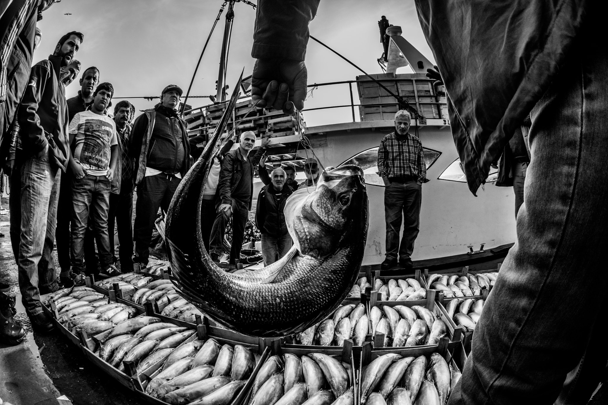 Nikon AF DX Fisheye-Nikkor 10.5mm F2.8G ED sample photo. Sea photography