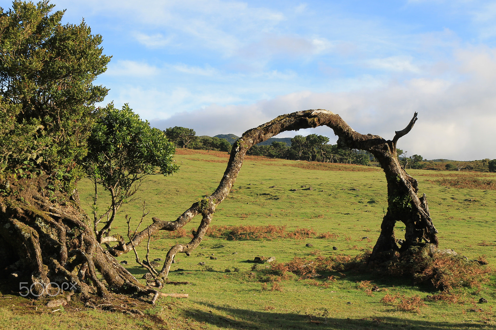 Canon EF-S 17-55mm F2.8 IS USM sample photo. Madeira island photography