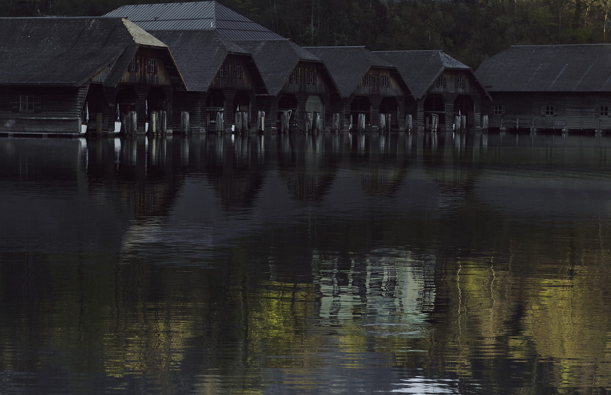 Canon EOS-1D Mark IV sample photo. 2016 | 04 | koenigssee | huts photography
