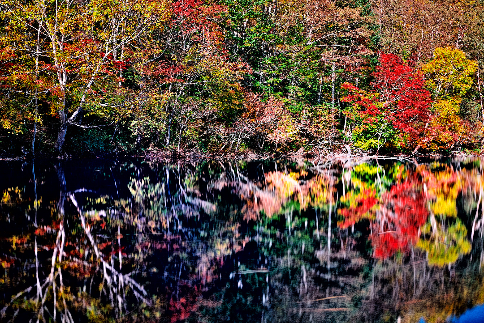 Sony a7S + Sony Vario-Sonnar T* 16-35mm F2.8 ZA SSM sample photo. Autumn mirror ii photography