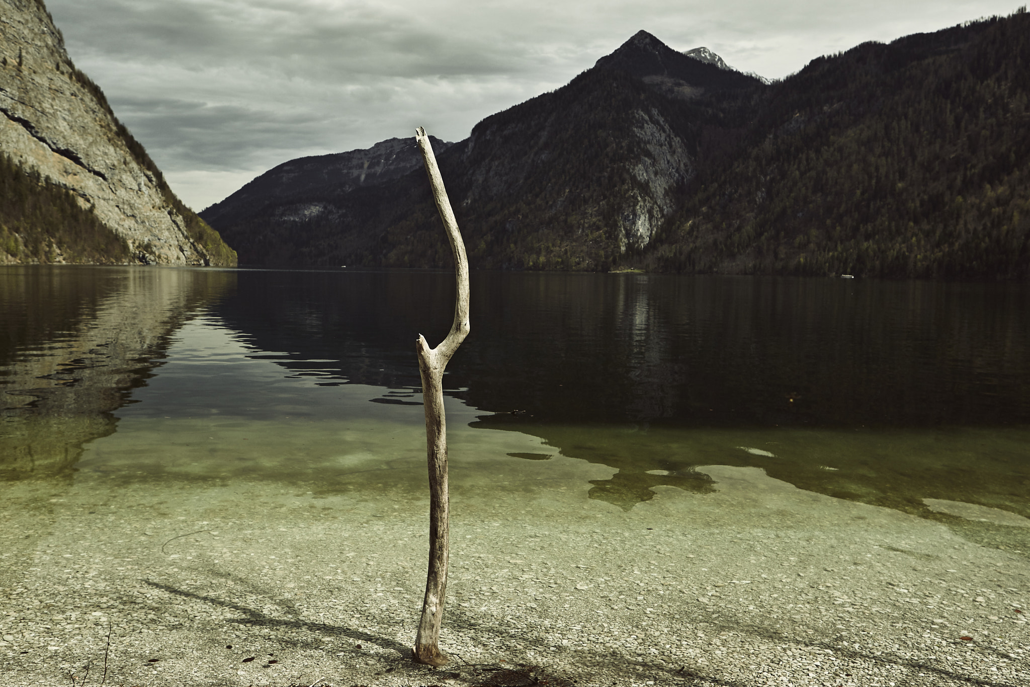 Canon EOS-1D Mark IV sample photo. 2016 | 04 | koenigssee | wooden antenna photography