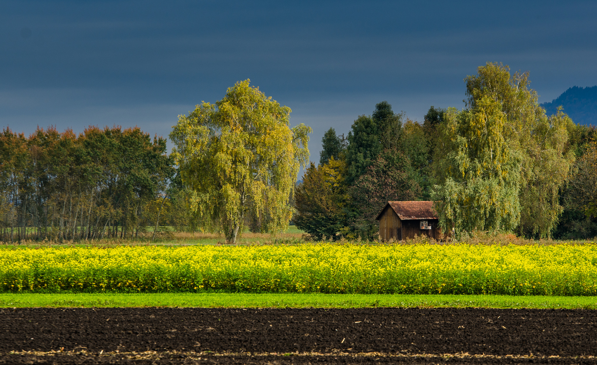 Sigma 70-200mm F2.8 EX DG OS HSM sample photo. Moments photography