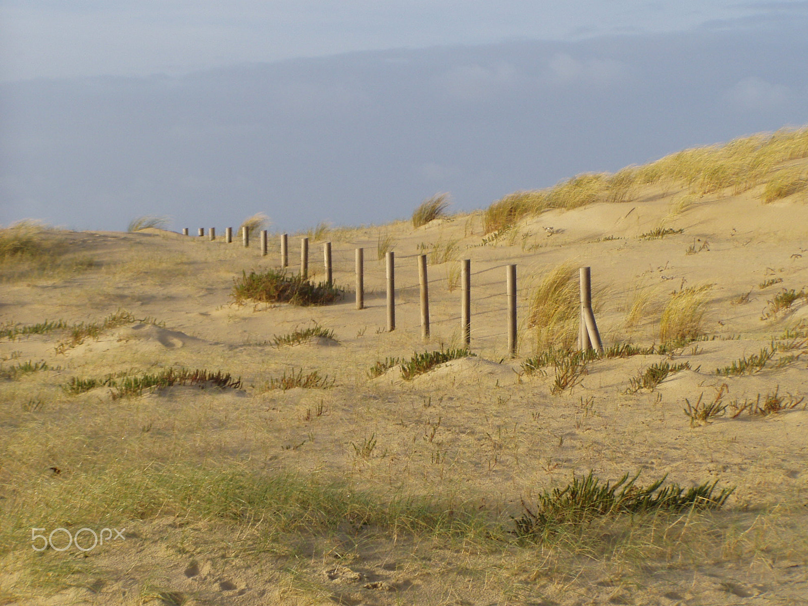 Olympus C720UZ sample photo. Lumière d'hiver sur les dunes photography