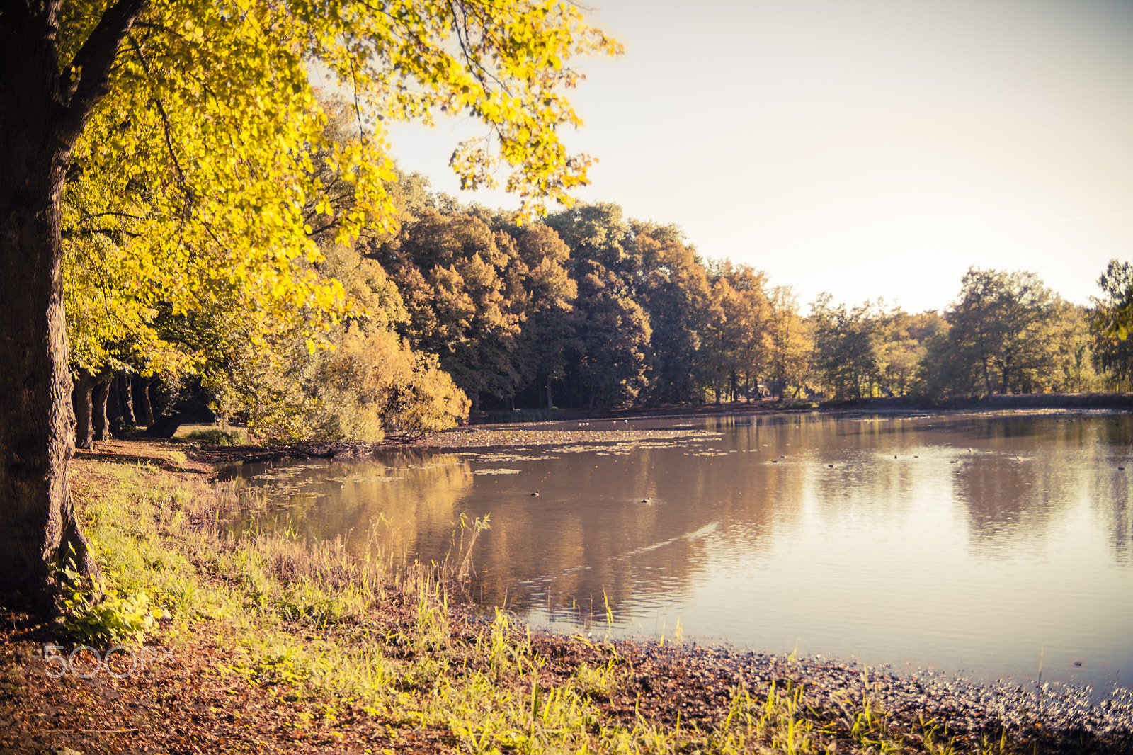 Canon EOS 50D + Sigma 18-50mm f/2.8 Macro sample photo. The autumn lake photography