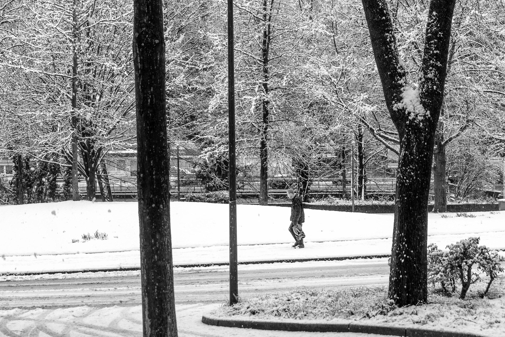 Sony Alpha DSLR-A500 + Sony DT 18-55mm F3.5-5.6 SAM sample photo. The winter walk photography