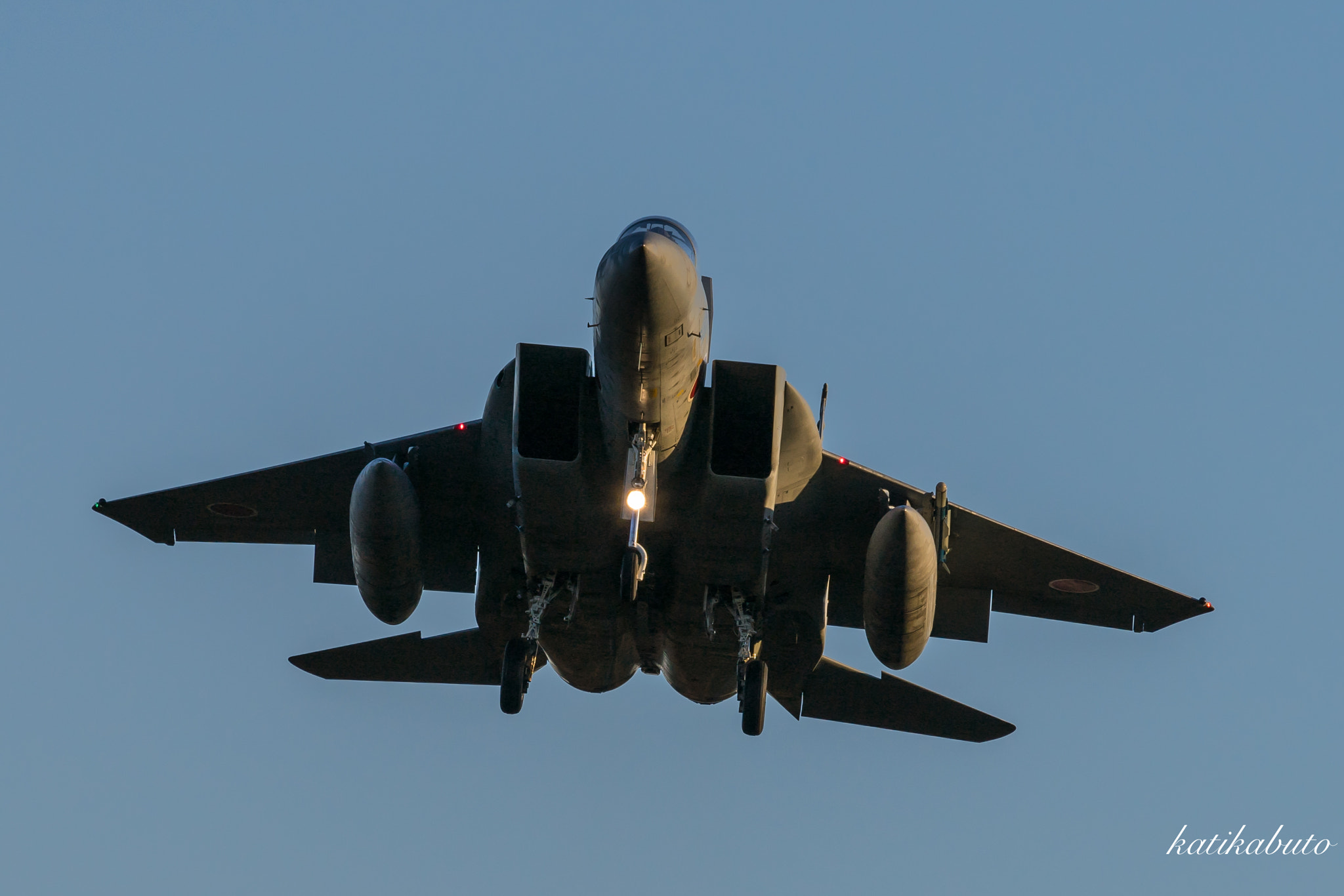 Sony 70-300mm F4.5-5.6 G SSM sample photo. Landing preparations photography