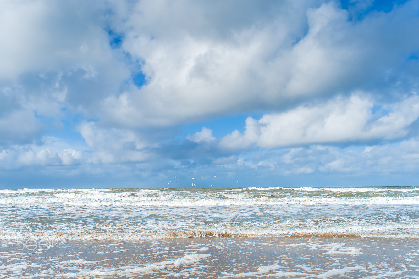 Sony 28mm F2.8 sample photo. Wind and waves create foam on the beach photography