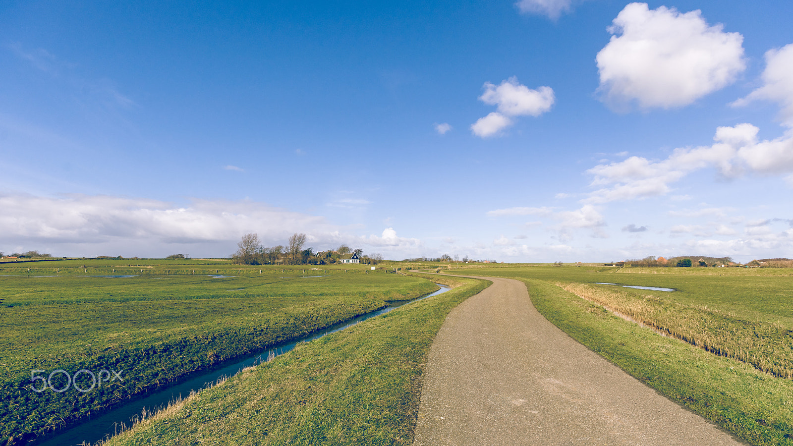 Sony Alpha DSLR-A900 sample photo. Wide view on dutch landscape with meadow and cloudy skies photography