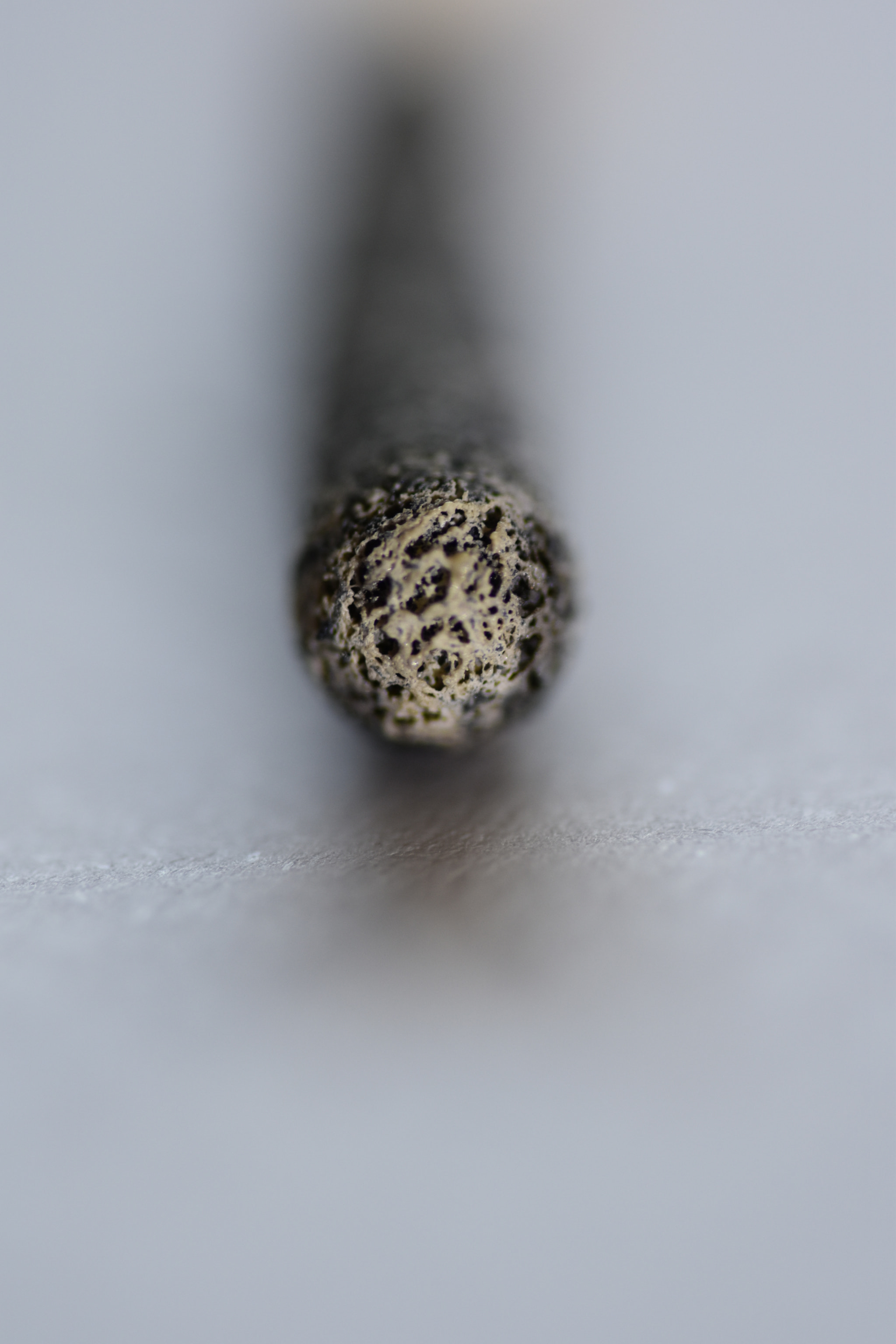 Sigma 105mm F2.8 EX DG OS HSM sample photo. Match photography