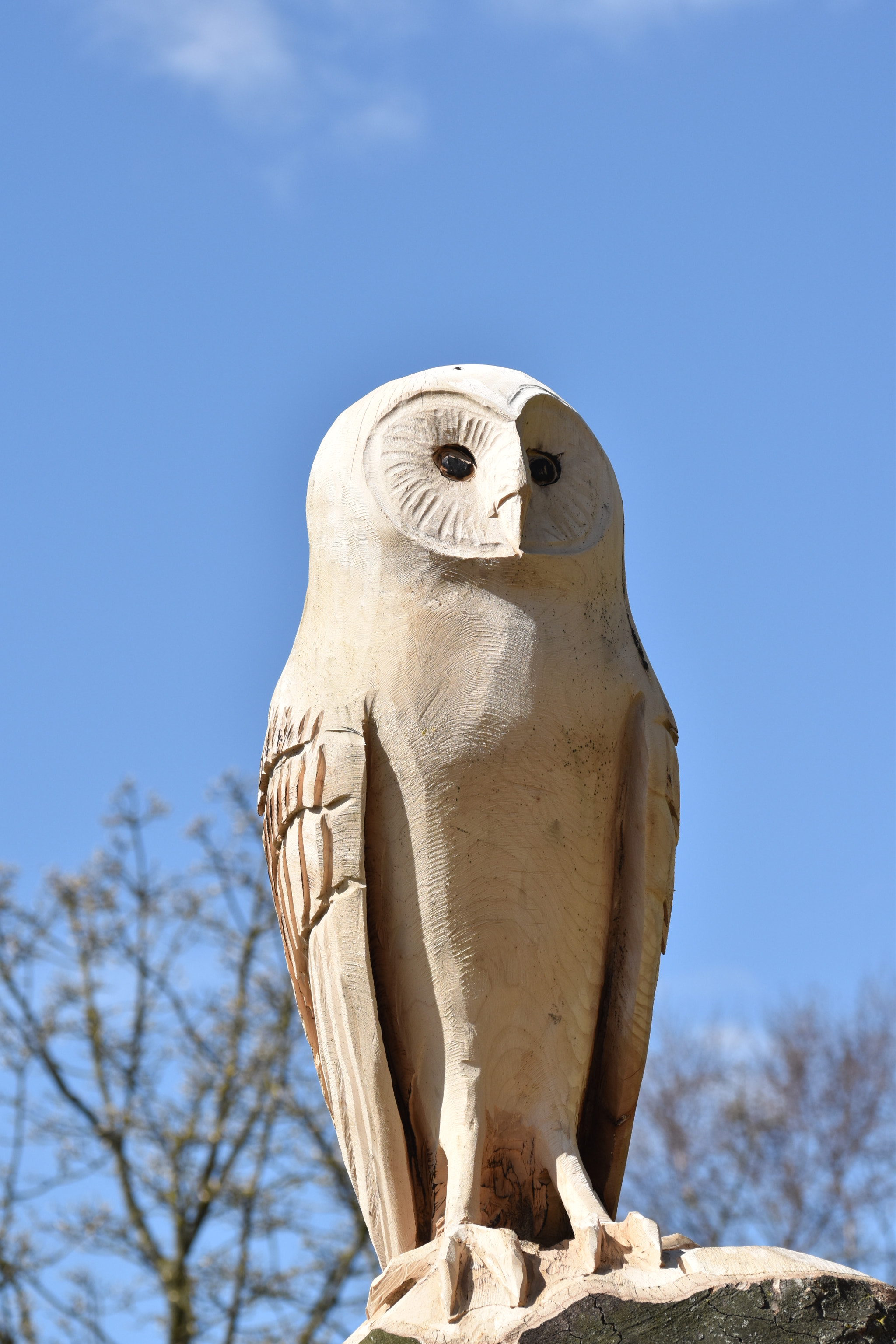 Sigma 105mm F2.8 EX DG OS HSM sample photo. Owl photography