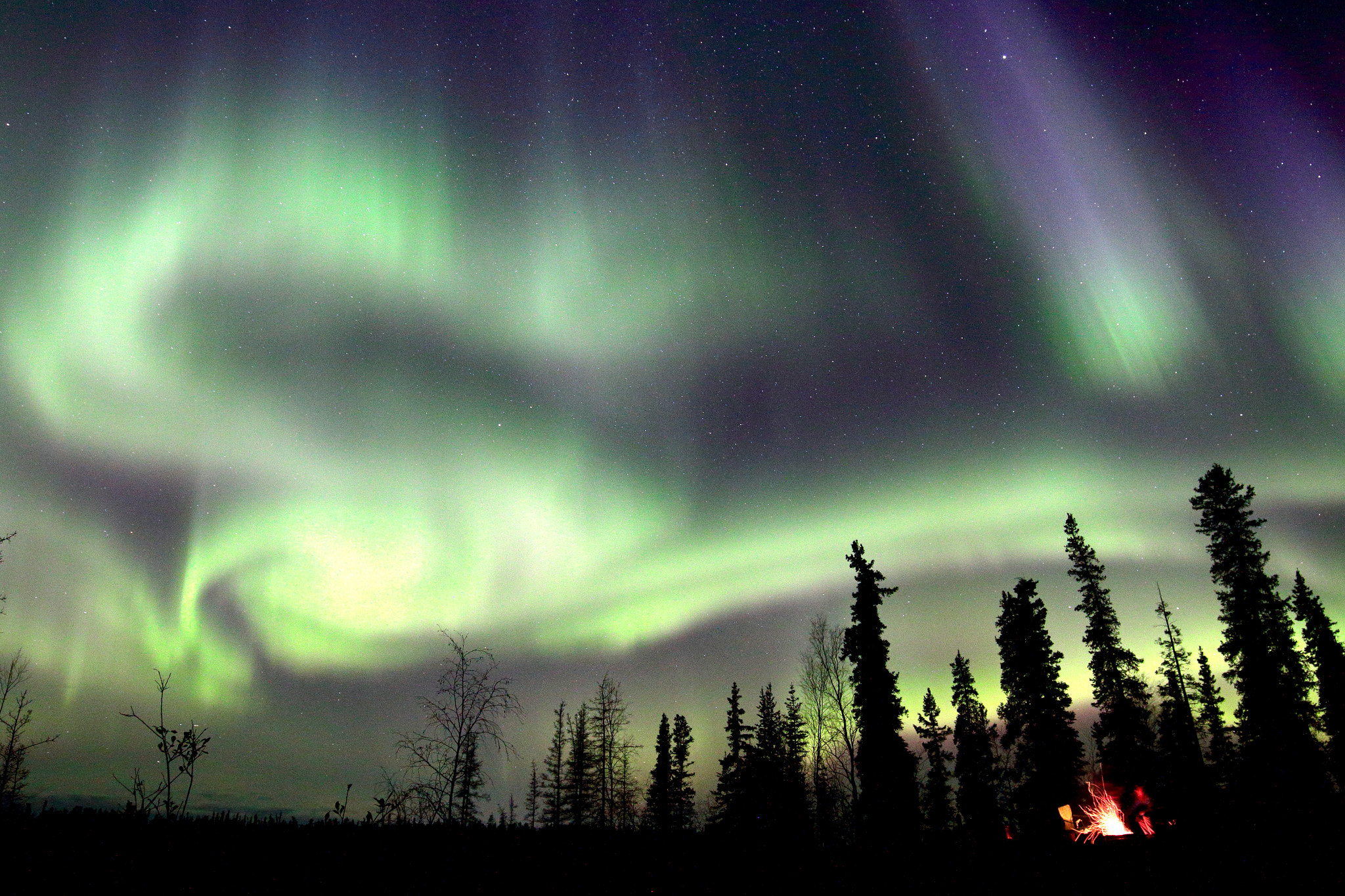Canon EF 16-35mm F4L IS USM sample photo. Northern lights in yellowknife photography