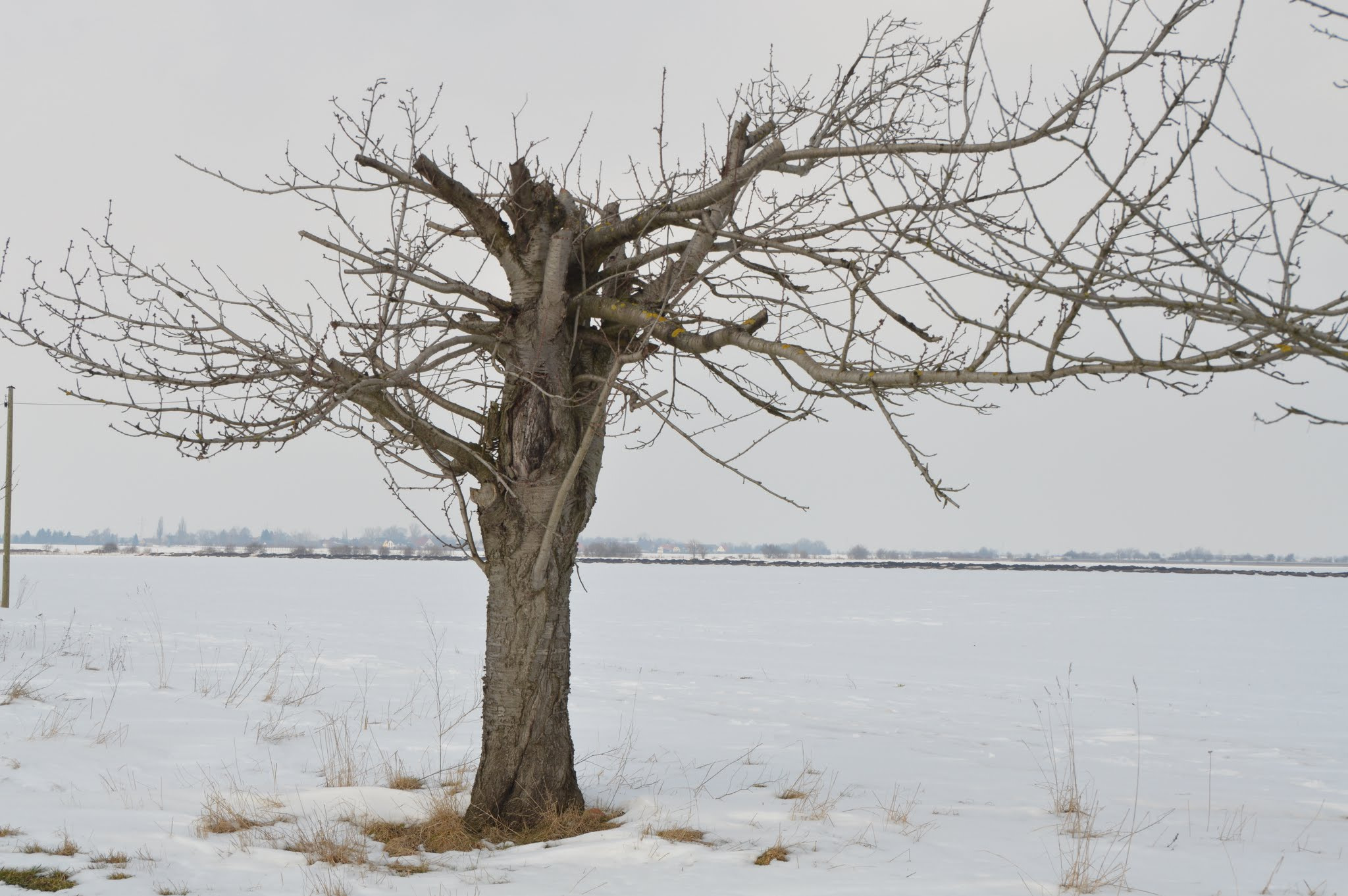 Sigma 18-250mm F3.5-6.3 DC OS HSM sample photo