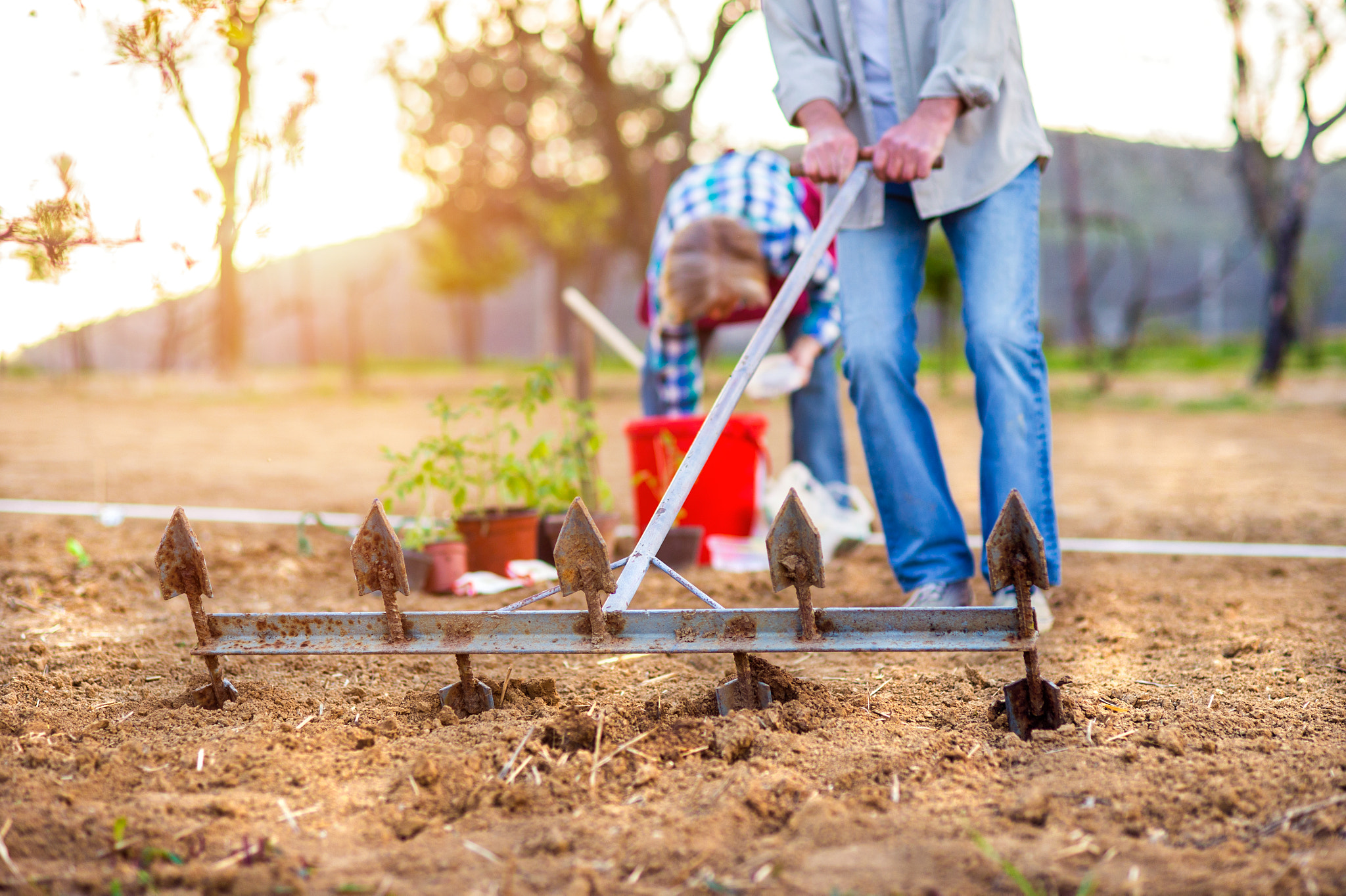 Nikon D4S + Nikon AF Nikkor 85mm F1.8D sample photo. Senior woman and man plowing and planting seeds, garden photography