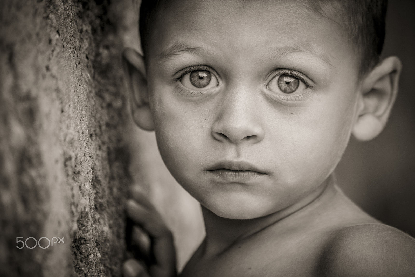 Sigma 70-300mm F4-5.6 APO DG Macro sample photo. Photo:vitomontemurro photography