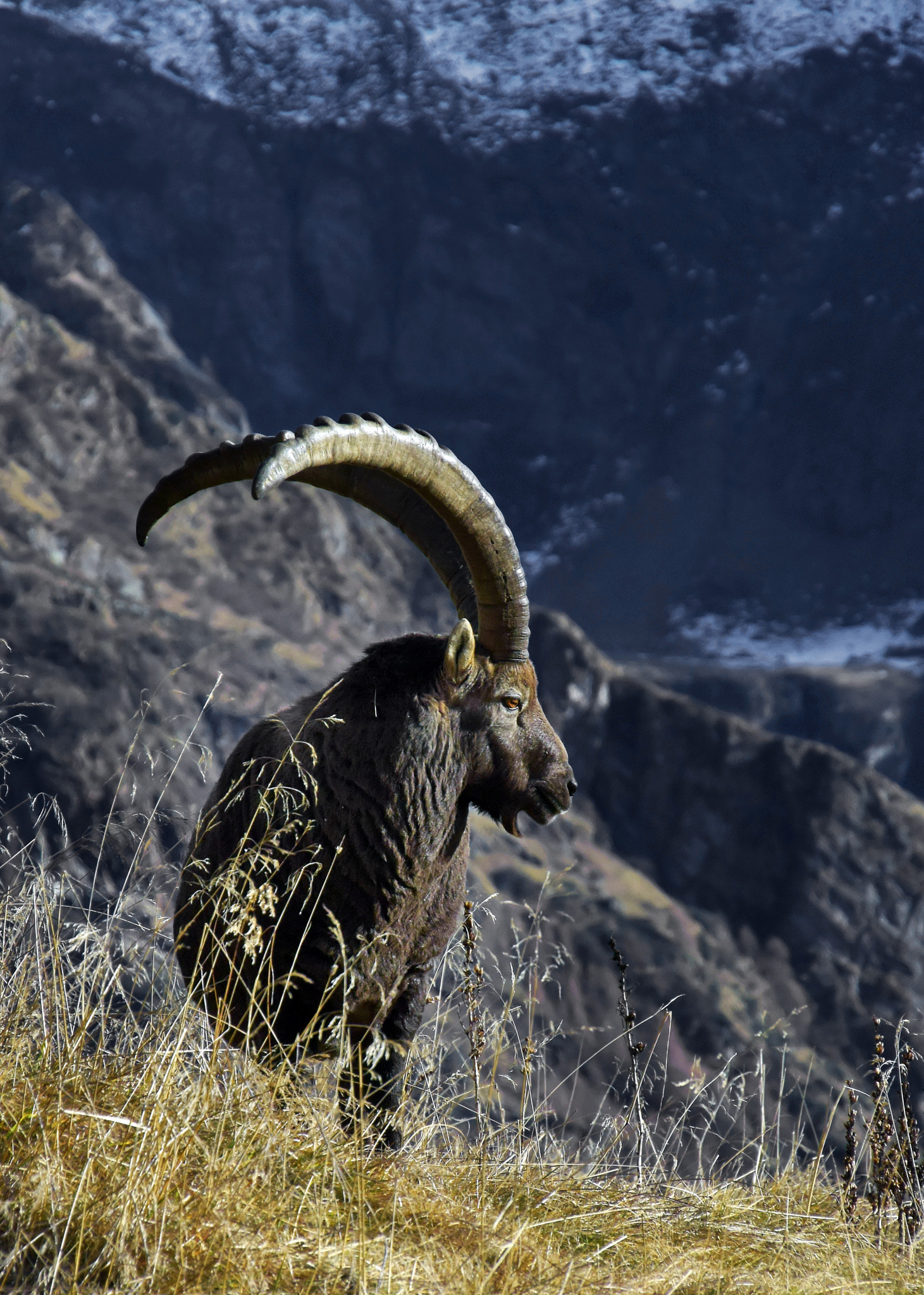 1 NIKKOR VR 10-100mm f/4-5.6 sample photo. Peaks - the lord of the alps photography