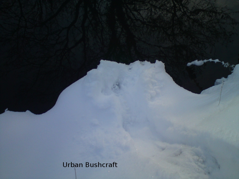 Sony Ericsson W995 sample photo. Otter2.jpg photography