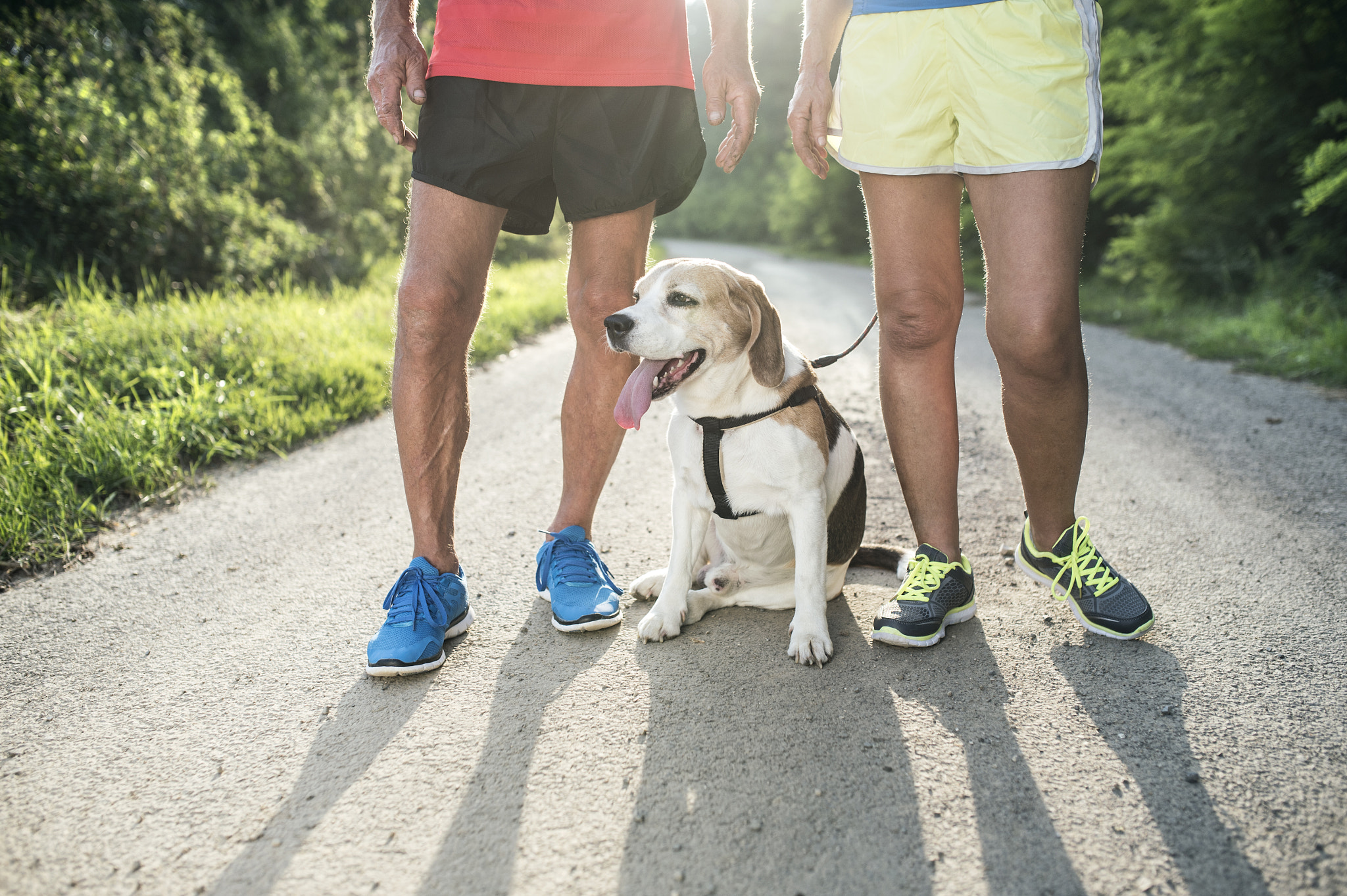 Nikon D4S + Sigma 35mm F1.4 DG HSM Art sample photo. Unrecognizable senior runners with dog outside in sunny nature photography