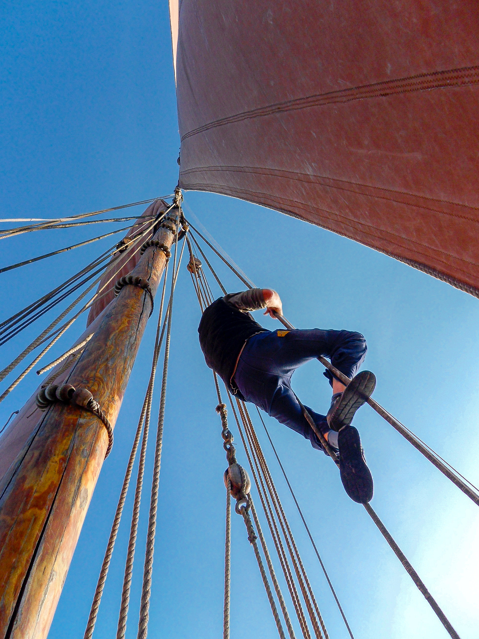 Samsung WB550, WB560 / VLUU WB550 /  HZ15W sample photo. Skipper at work photography