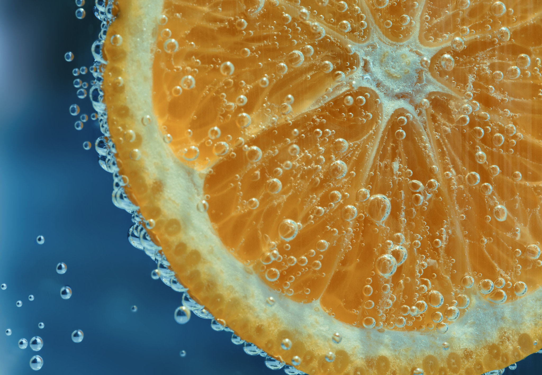 Canon EOS 6D + Tamron SP AF 90mm F2.8 Di Macro sample photo. Orange 3 photography