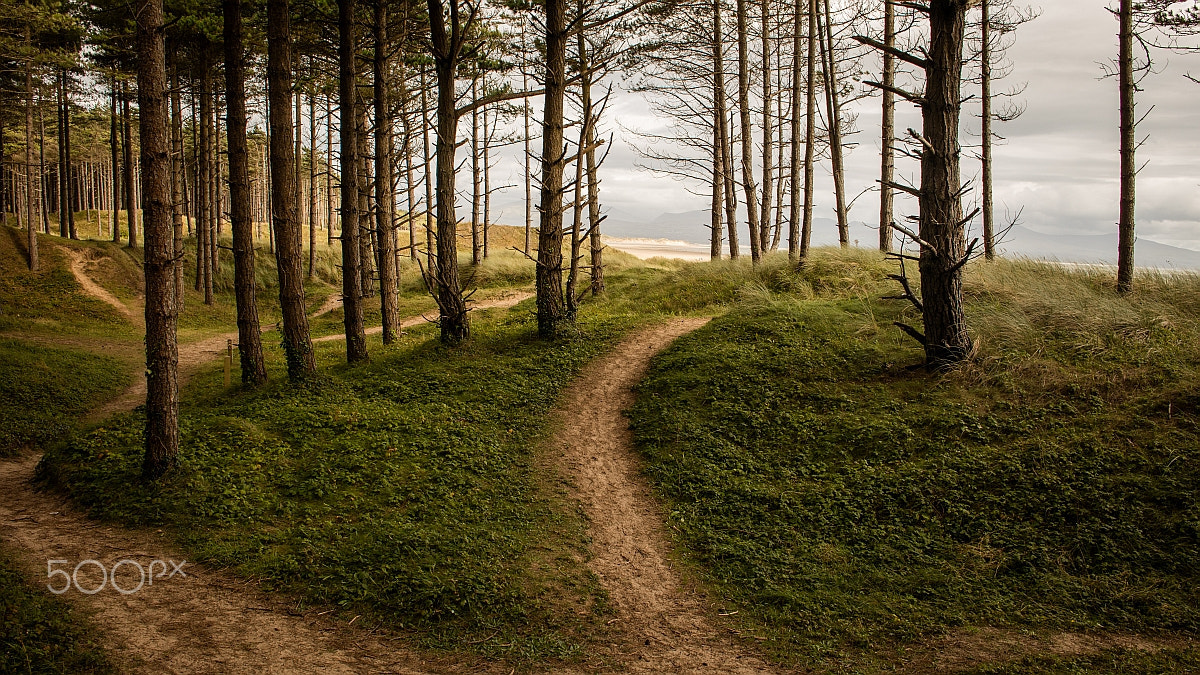 Canon EF 24mm F2.8 IS USM sample photo. Dune photography