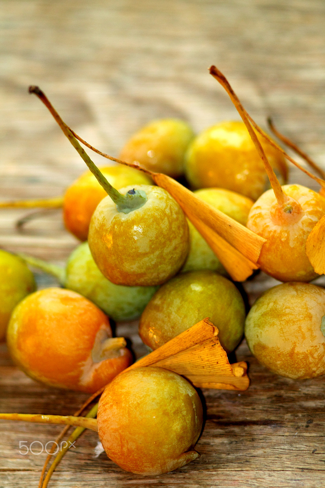 Canon EF 35-80mm f/4-5.6 sample photo. Ginkgo bilboa fruits on woody table desk. photography