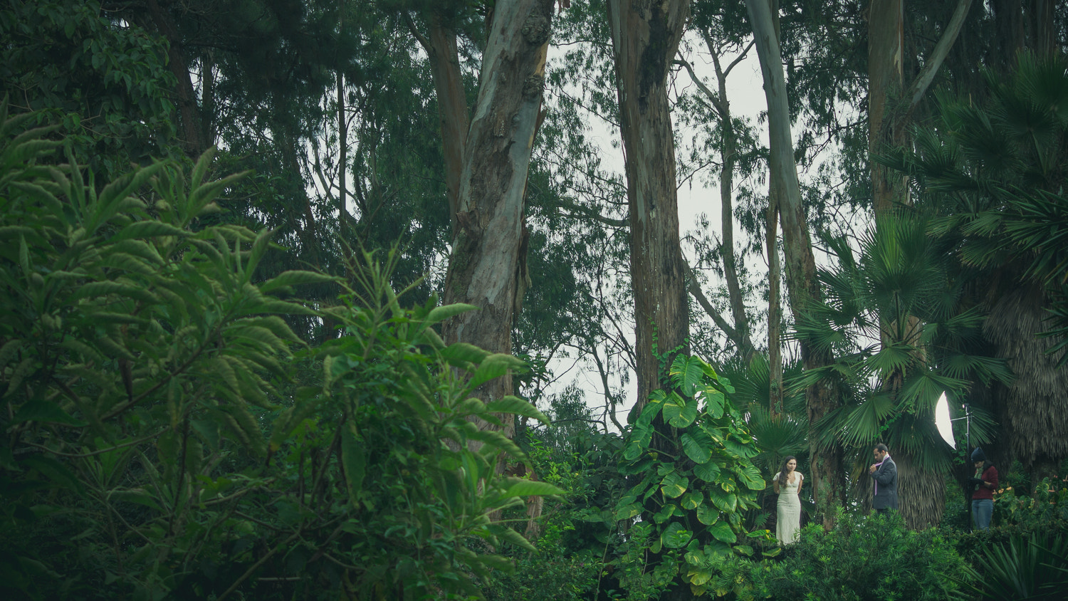 Olympus E-5 sample photo. Bts trash the dress photography