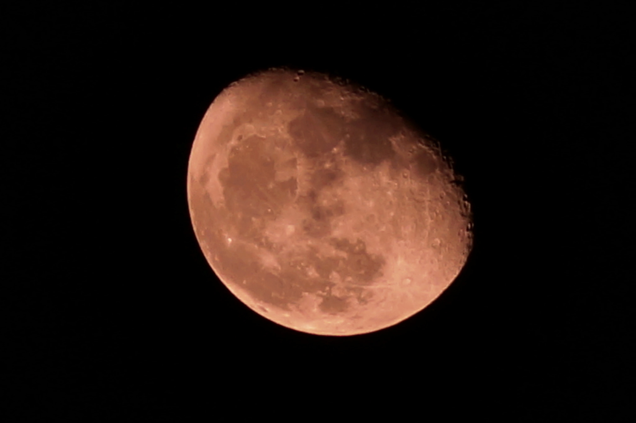 Sony DT 55-200mm F4-5.6 SAM sample photo. Clearly photography