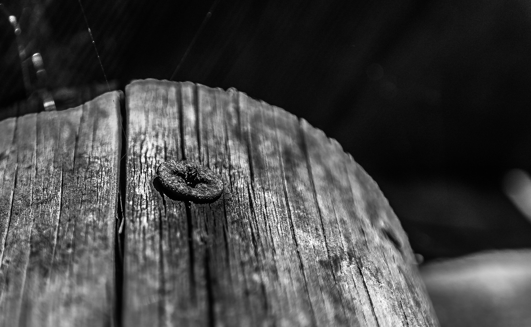 Samsung NX300M + Samsung NX 18-55mm F3.5-5.6 OIS sample photo. Spike in the old wood photography