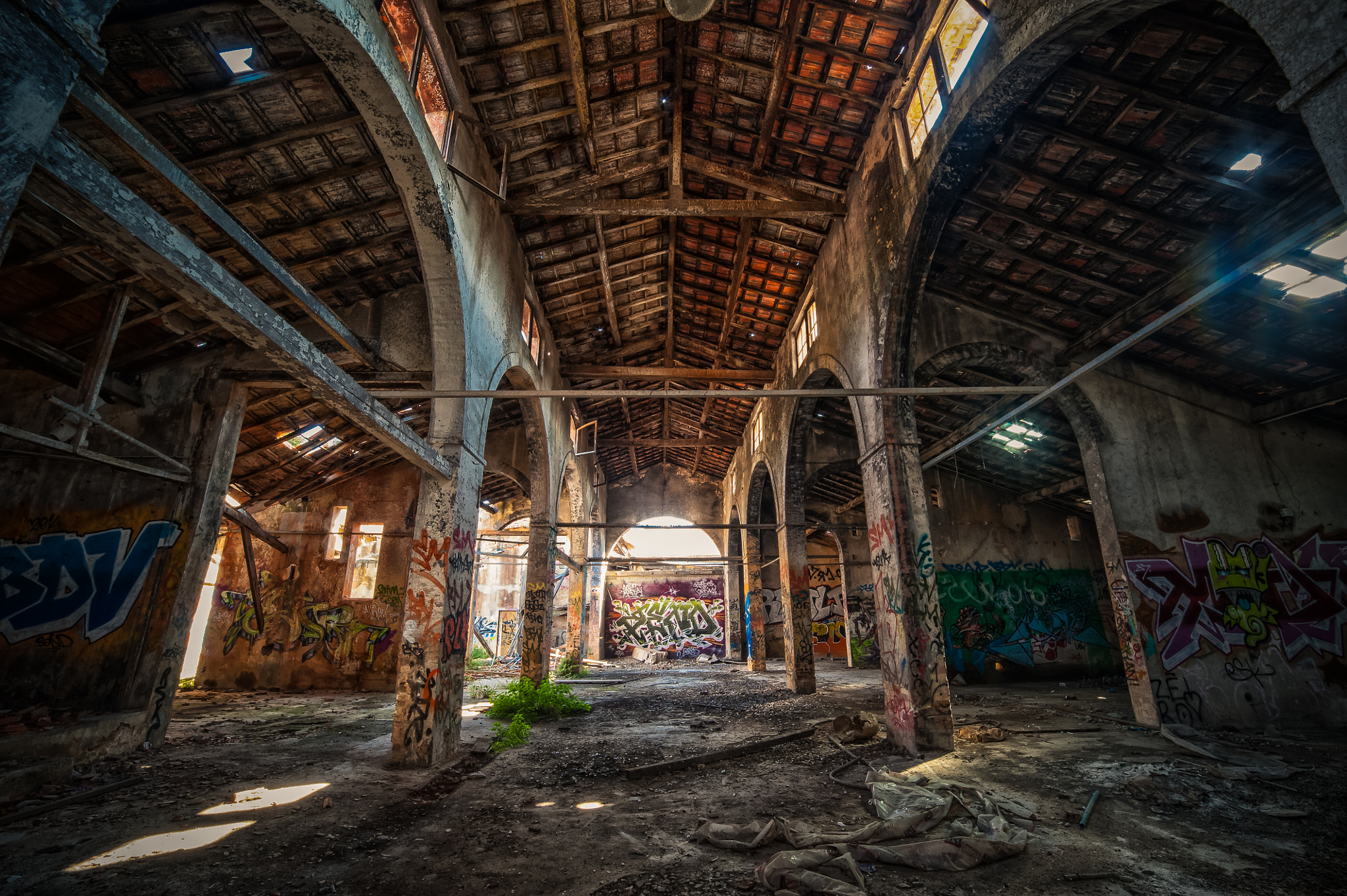 Samyang 14mm F2.8 ED AS IF UMC sample photo. Modifier photography