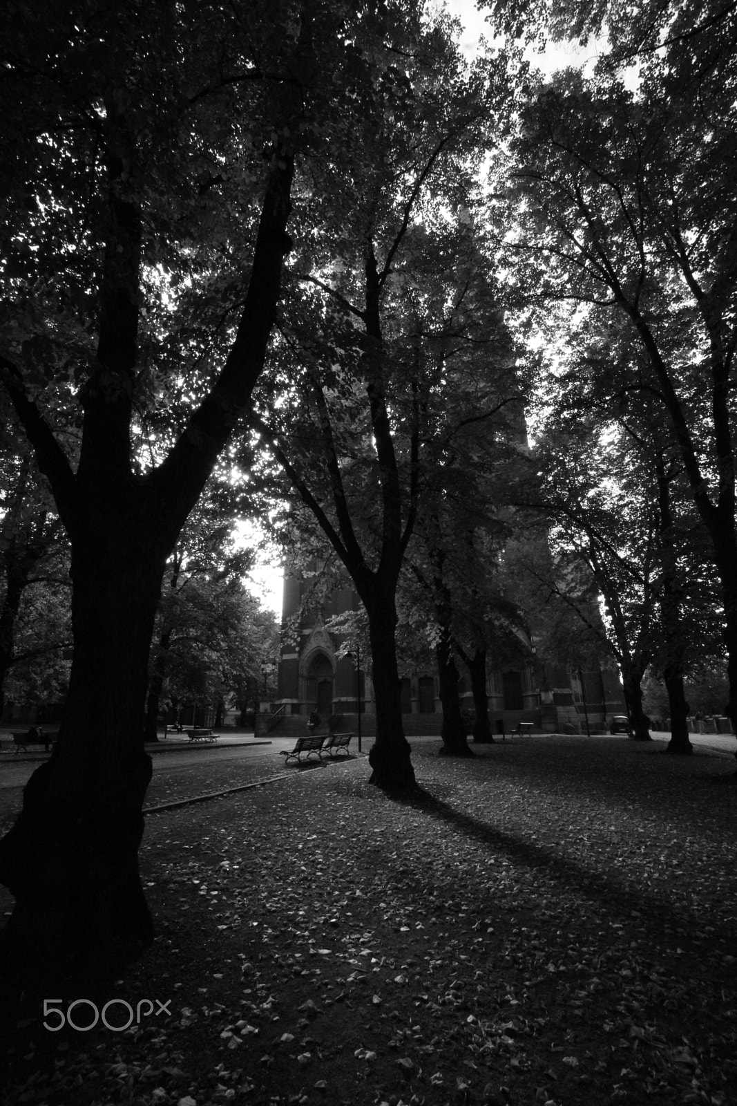 Sigma 10-20mm F3.5 EX DC HSM sample photo. Under the shadow photography