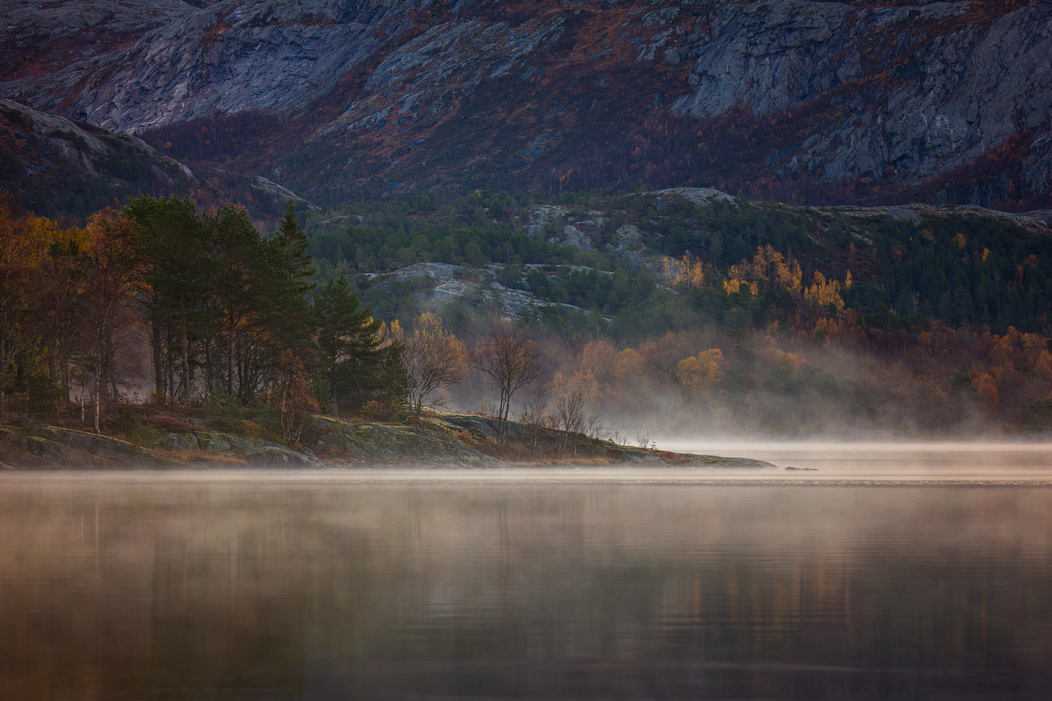 Canon EF 200mm F2.8L II USM sample photo. Misty photography