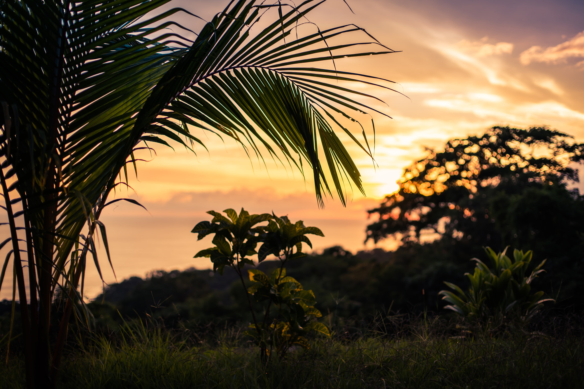Sony a7R II + Canon EF 50mm F1.4 USM sample photo. Tropical sunset photography