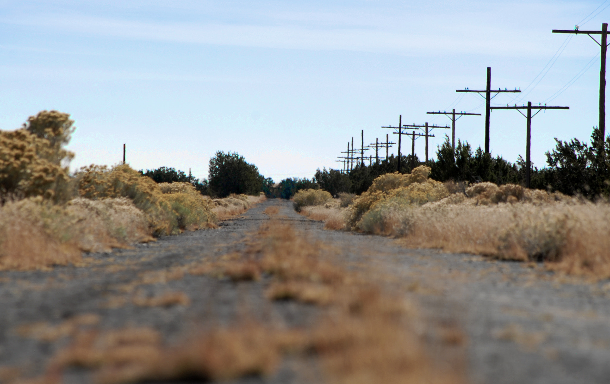 Nikon D200 sample photo. Rout photography
