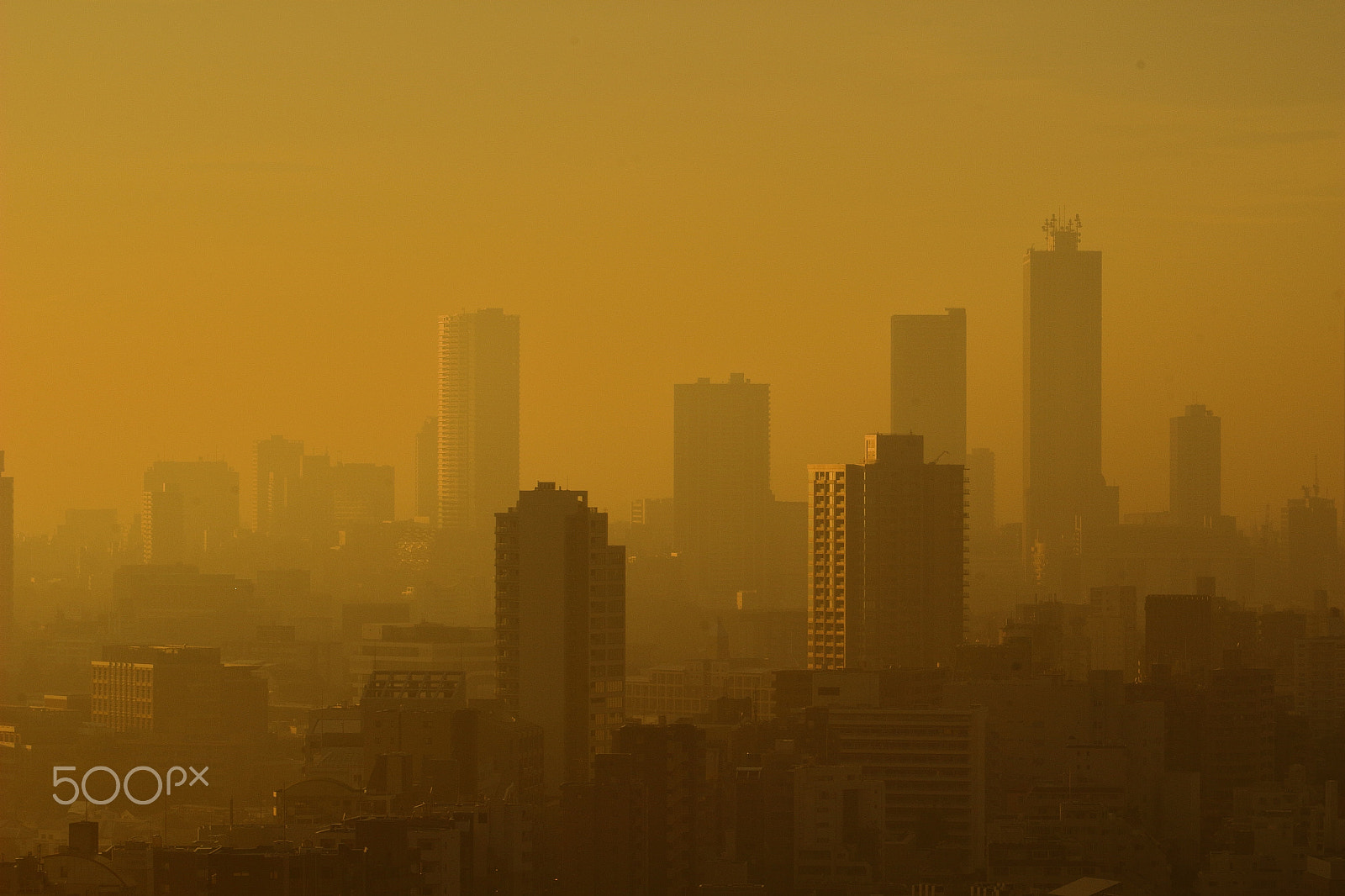 Canon EOS 100D (EOS Rebel SL1 / EOS Kiss X7) sample photo. Img_4143 photography