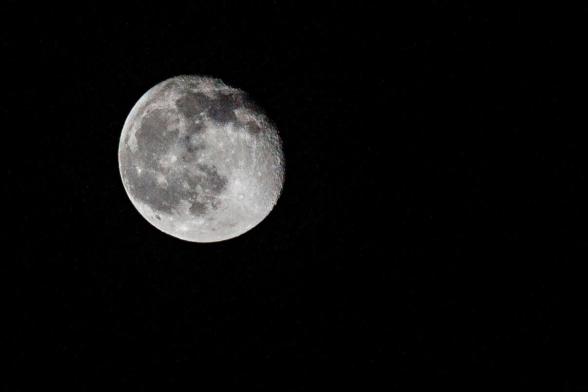 Nikon D4 sample photo. Till next time photography