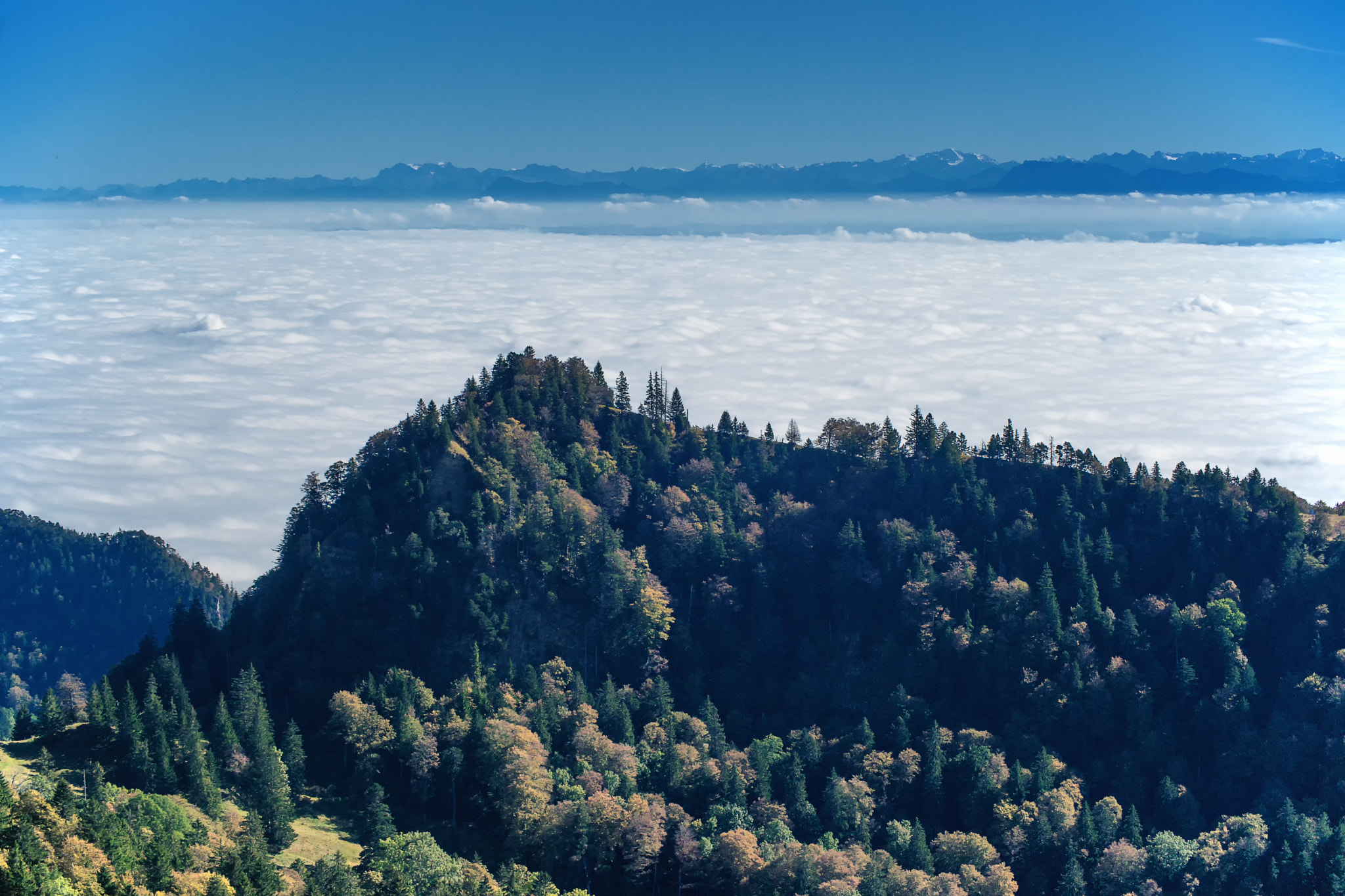 Sony 75-300mm F4.5-5.6 sample photo. Grenchenberg, switzerland photography