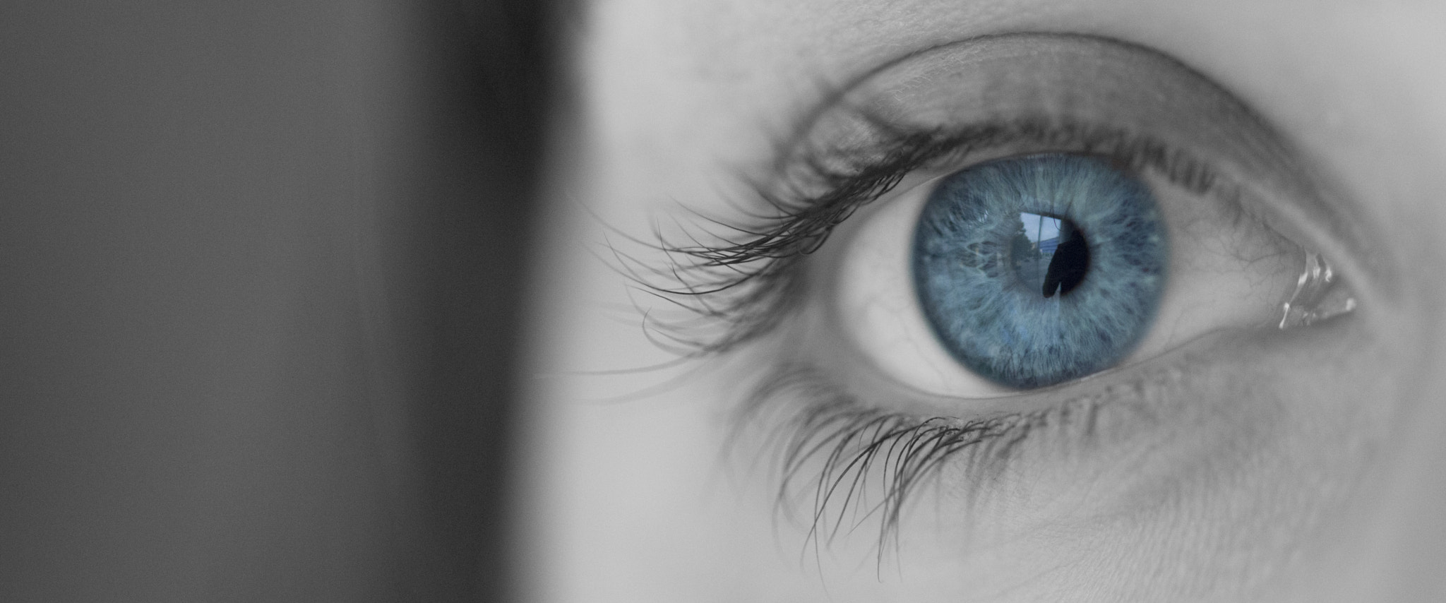 Sigma 105mm F2.8 EX DG OS HSM sample photo. Blue eye photography