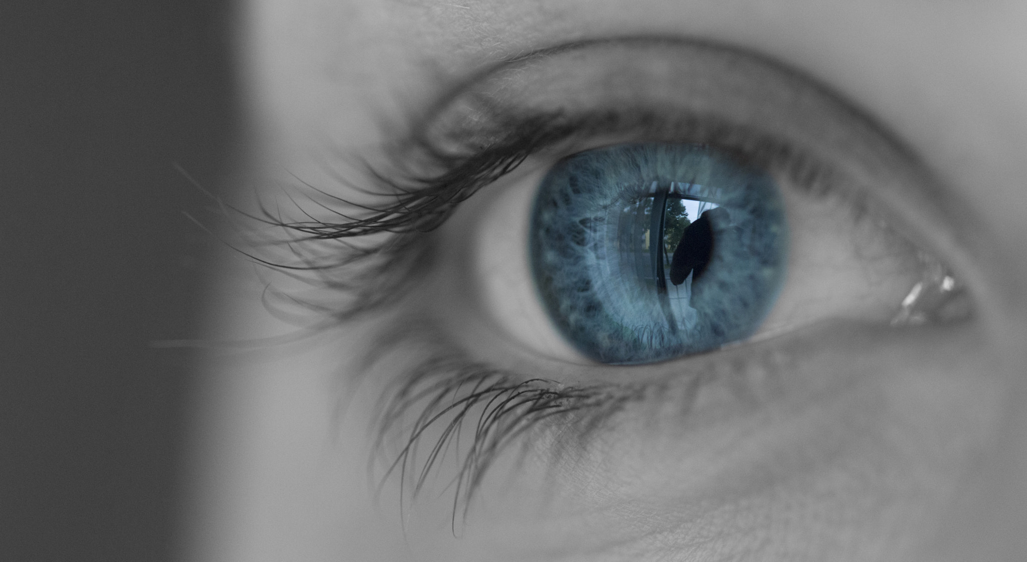Sigma 105mm F2.8 EX DG OS HSM sample photo. Blue eye photography