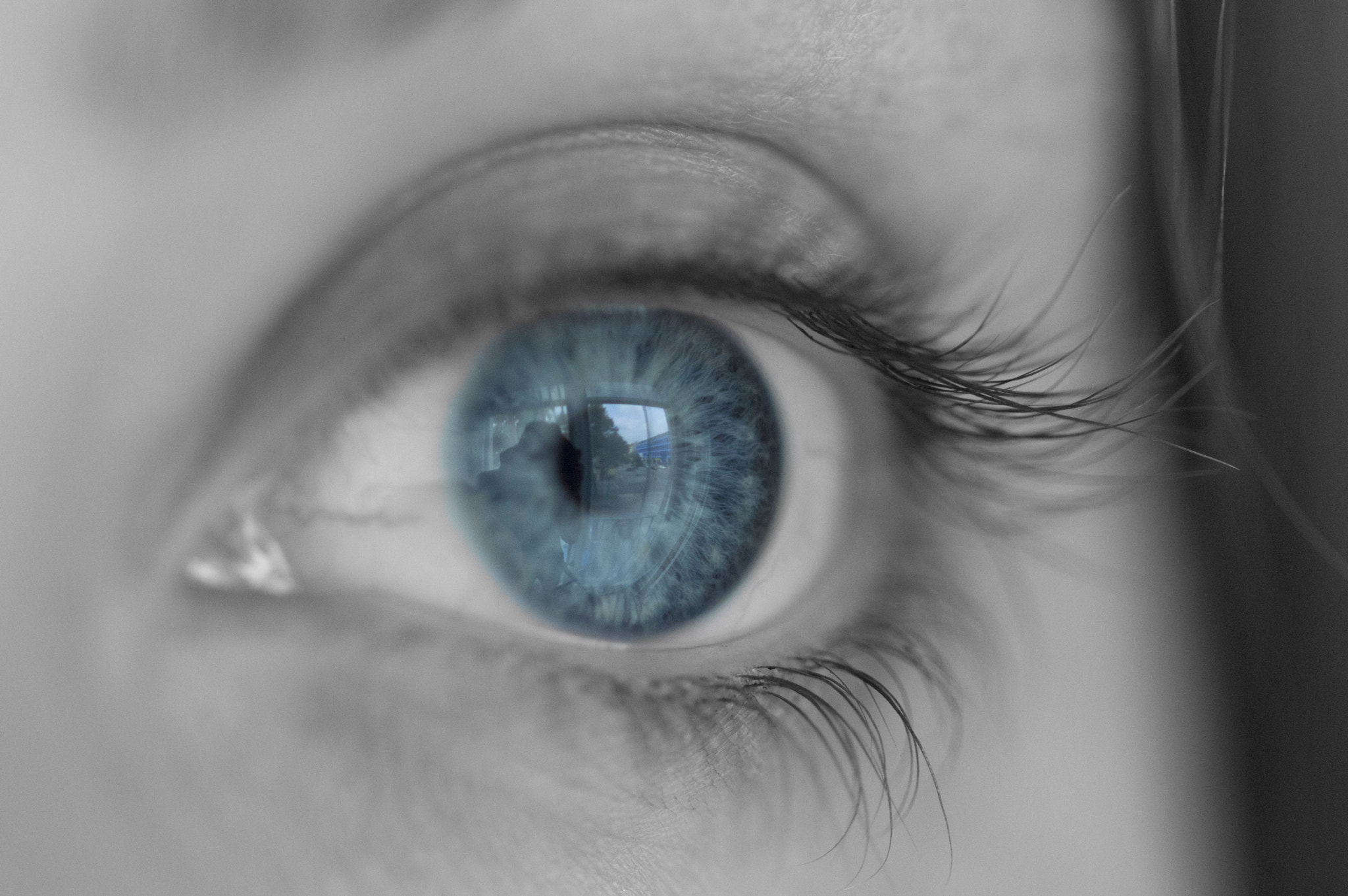 Sigma 105mm F2.8 EX DG OS HSM sample photo. Blue eye photography