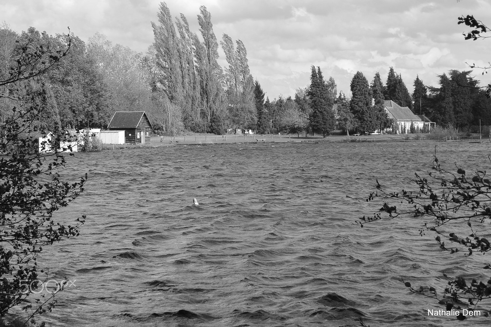 Nikon 1 J3 sample photo. Lac van loppem photography