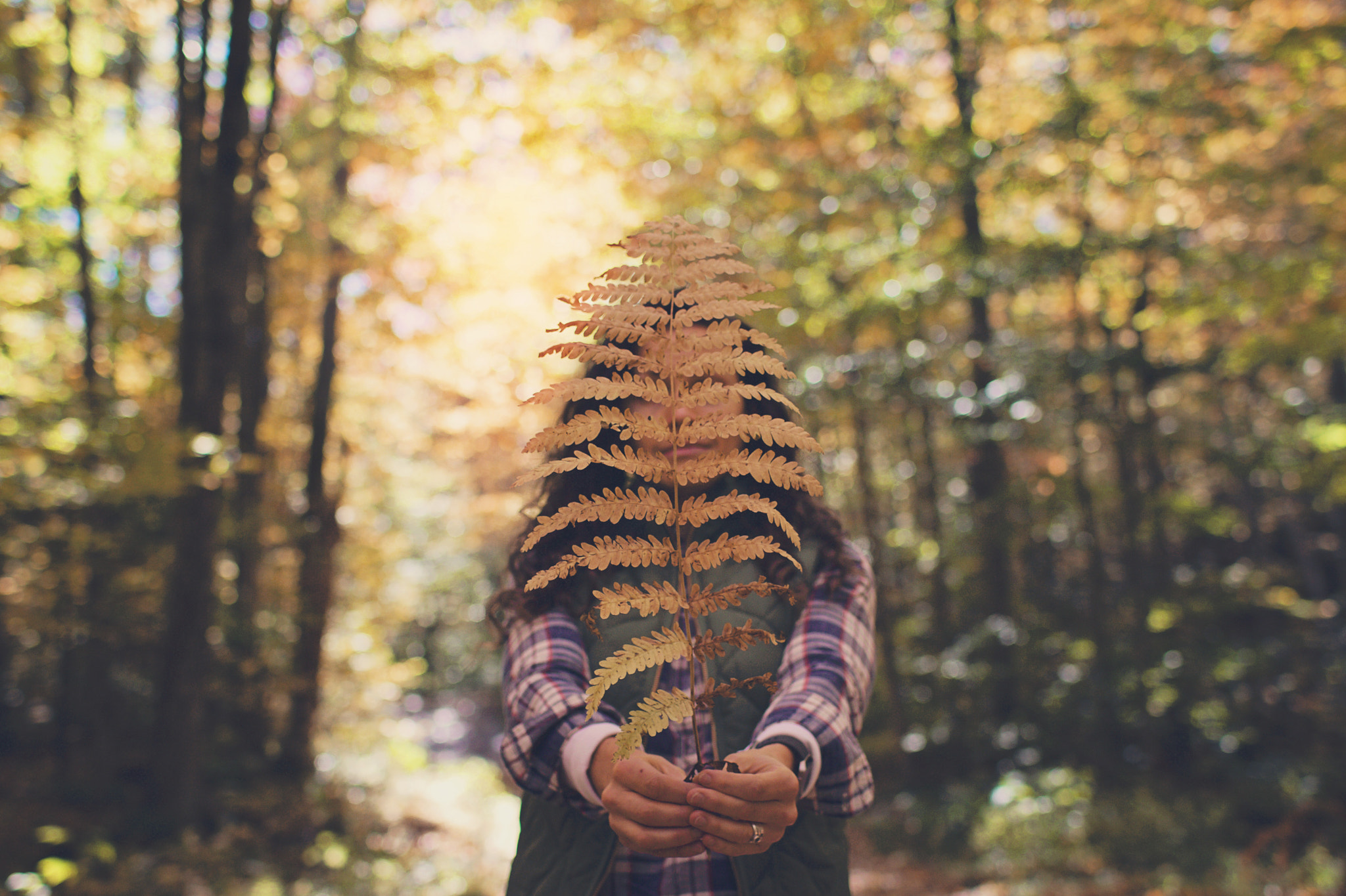 Canon EOS 70D + Canon EF 35mm F1.4L USM sample photo. Forest findings. photography