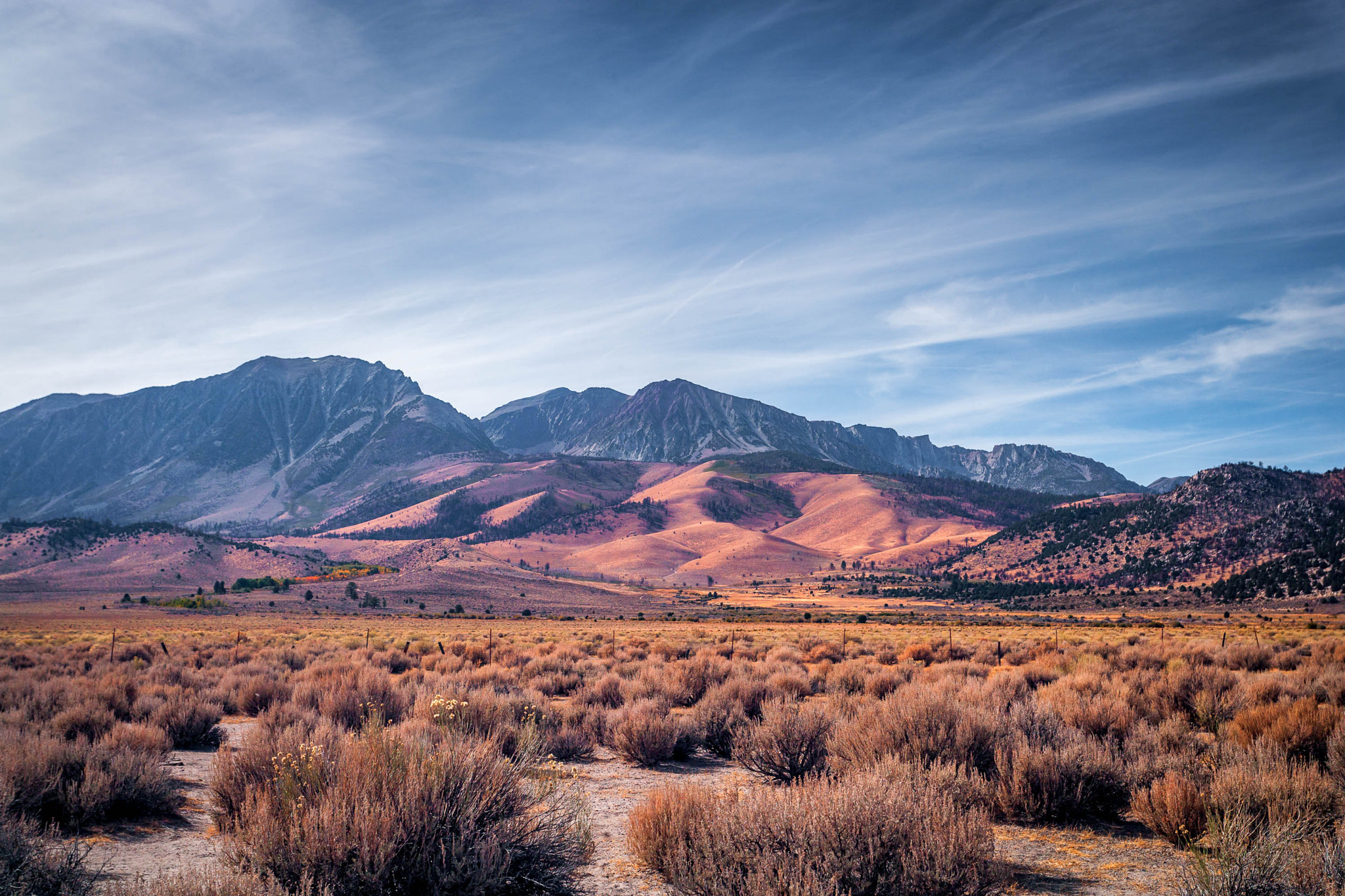 Canon EOS-1Ds Mark II sample photo. Lee vining photography