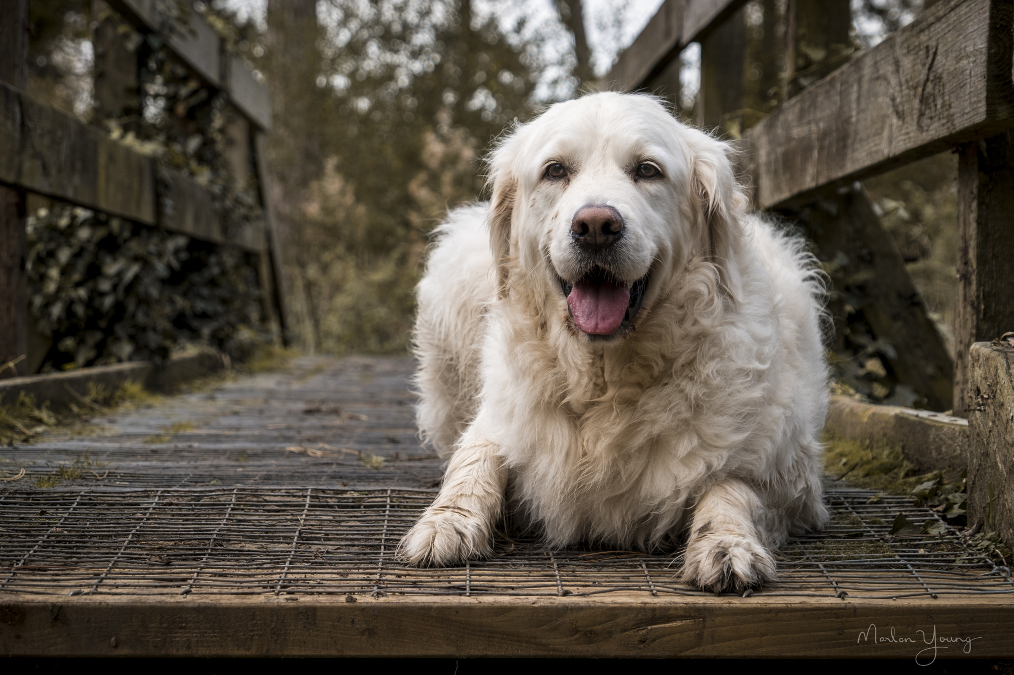 Fujifilm X-Pro2 + Fujifilm XF 18-135mm F3.5-5.6 R LM OIS WR sample photo. All you need is mud. mud is all you need... photography