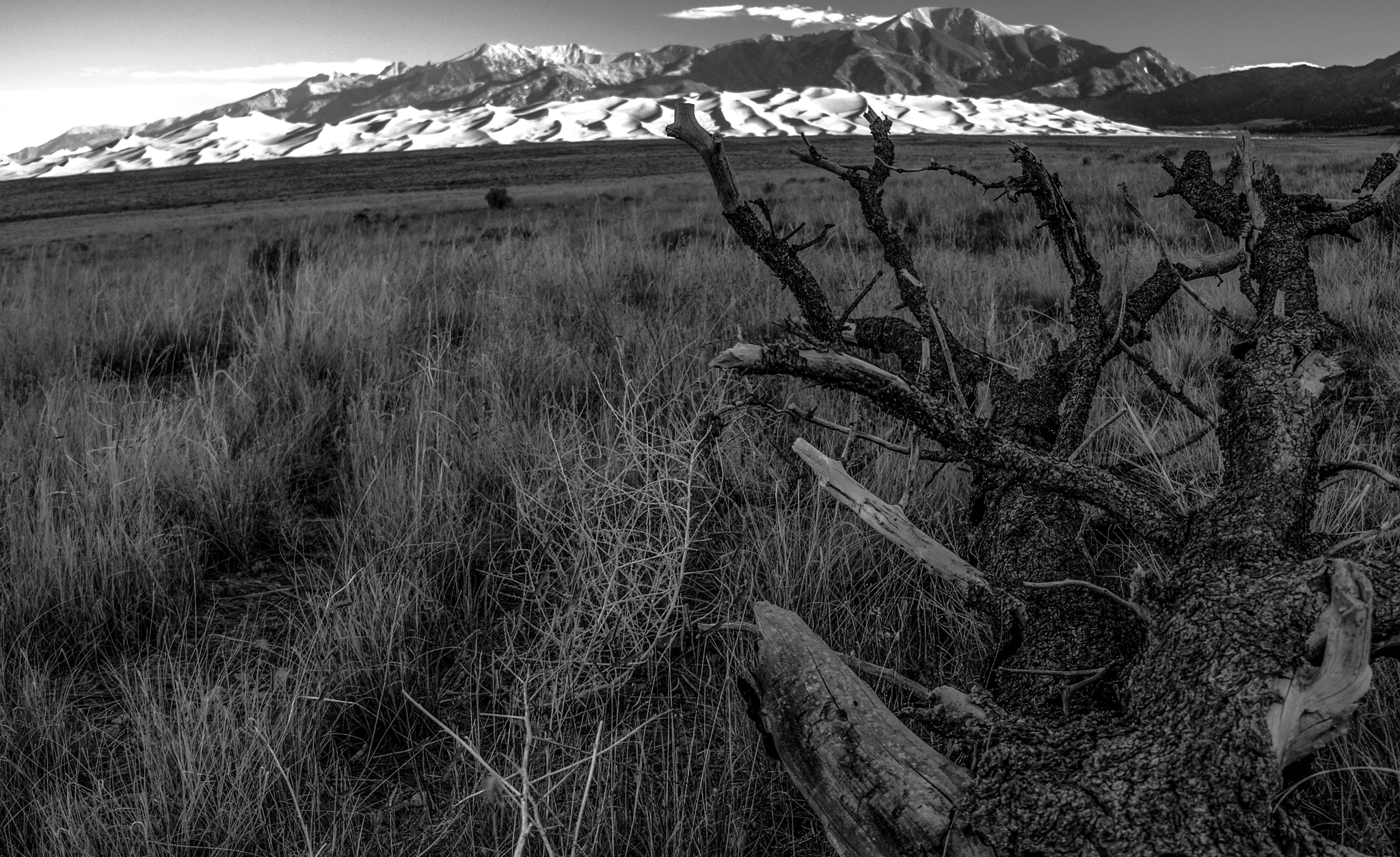 Panasonic Lumix DMC-GH3 sample photo. View of sand dunes at sunrise photography