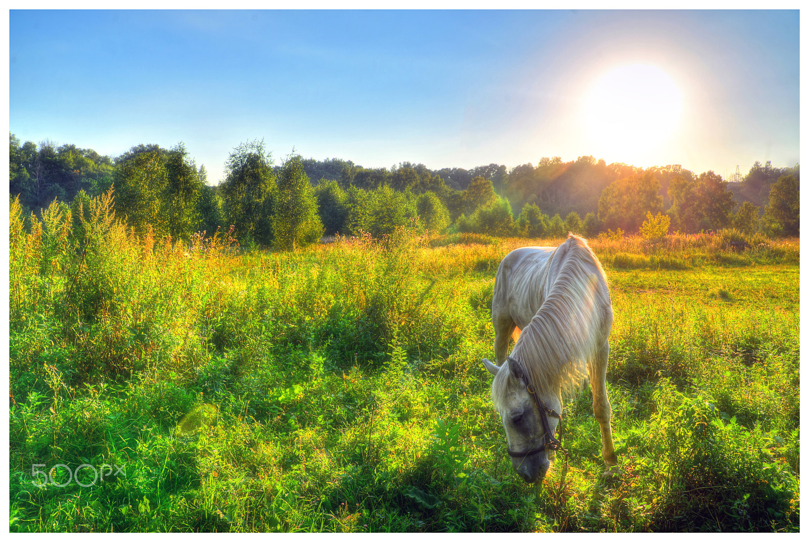 Nikon D600 sample photo. At sunset... photography