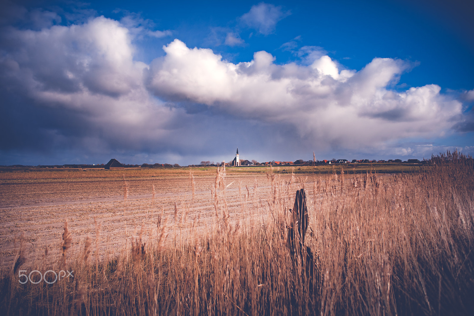 Sony Alpha DSLR-A900 sample photo. Typical white church in landscape at the island, texel, holland photography