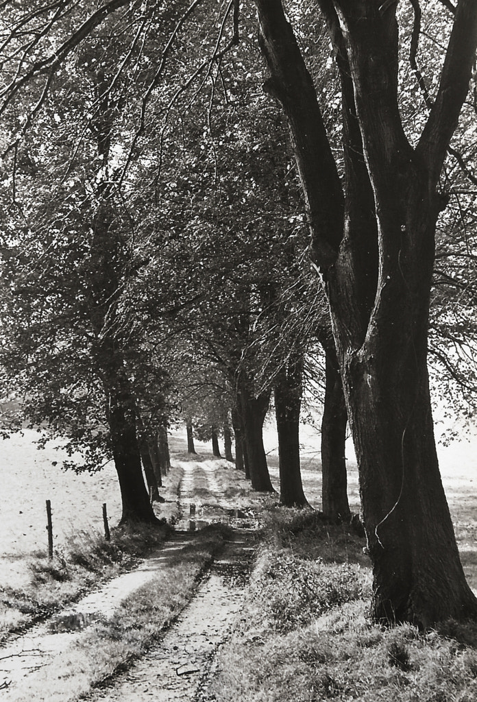 path by dirk derbaum on 500px.com