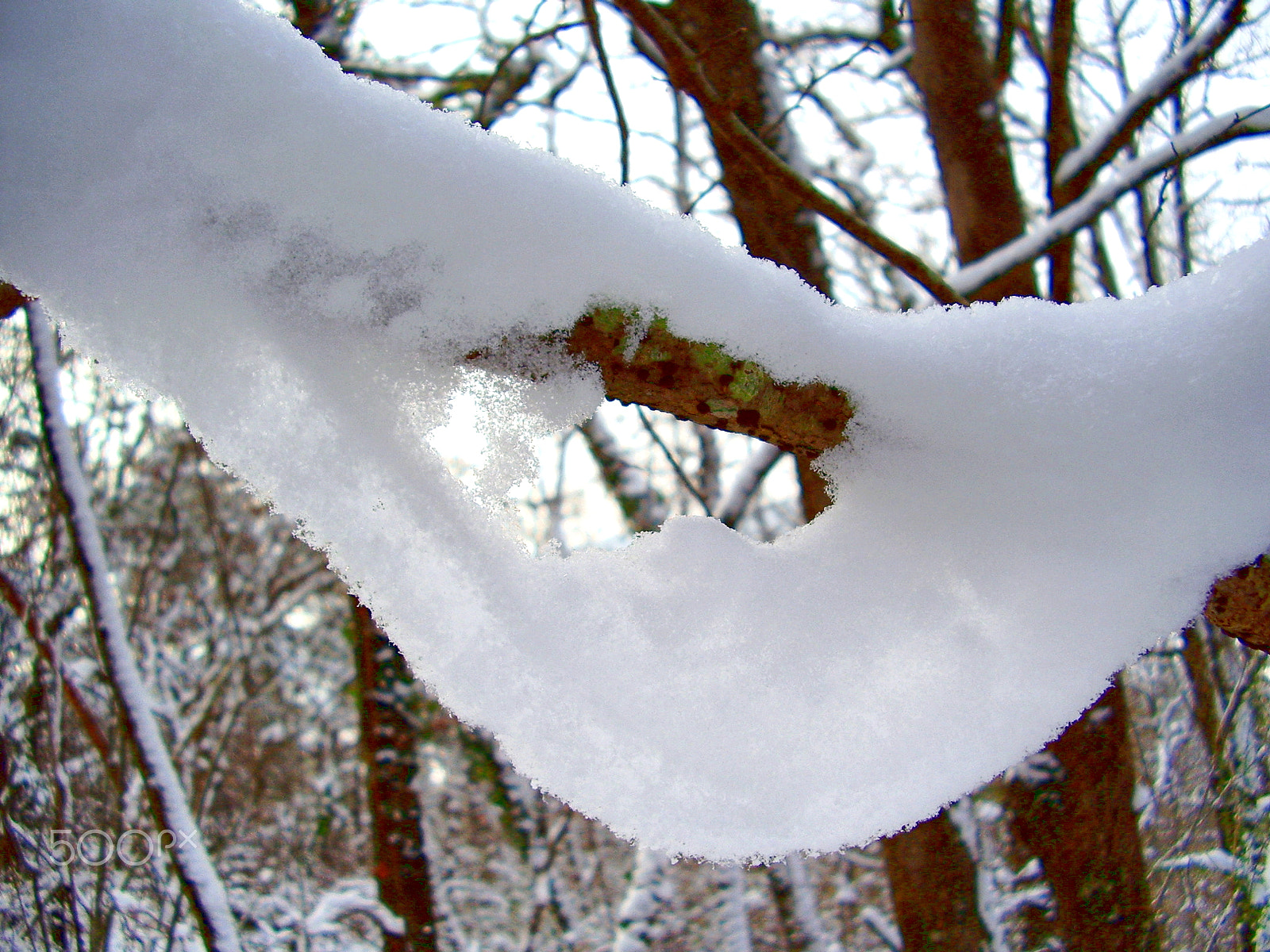 Olympus FE115,X715 sample photo. Snow hanging from a branch photography