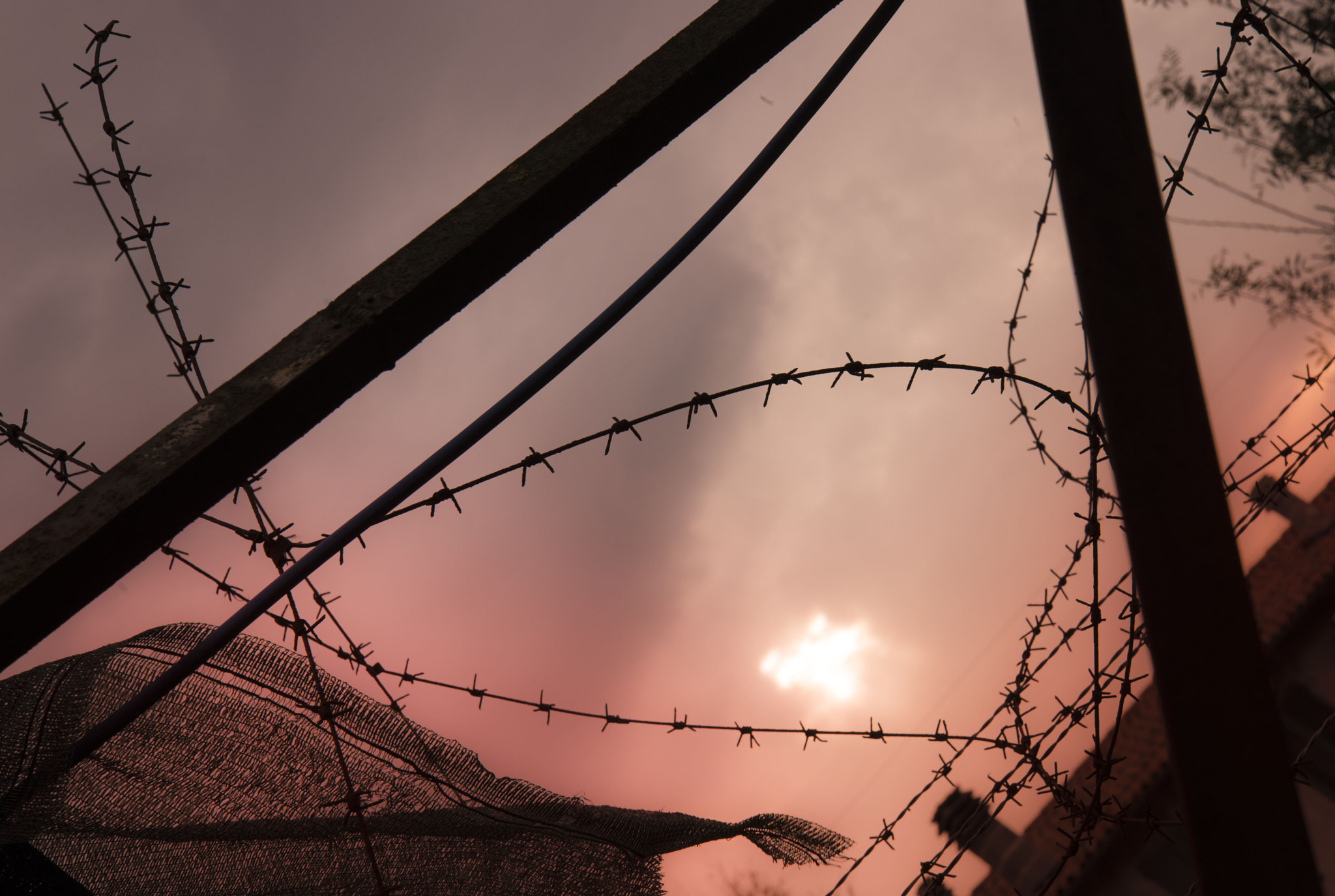 Prisoner...or freedom?