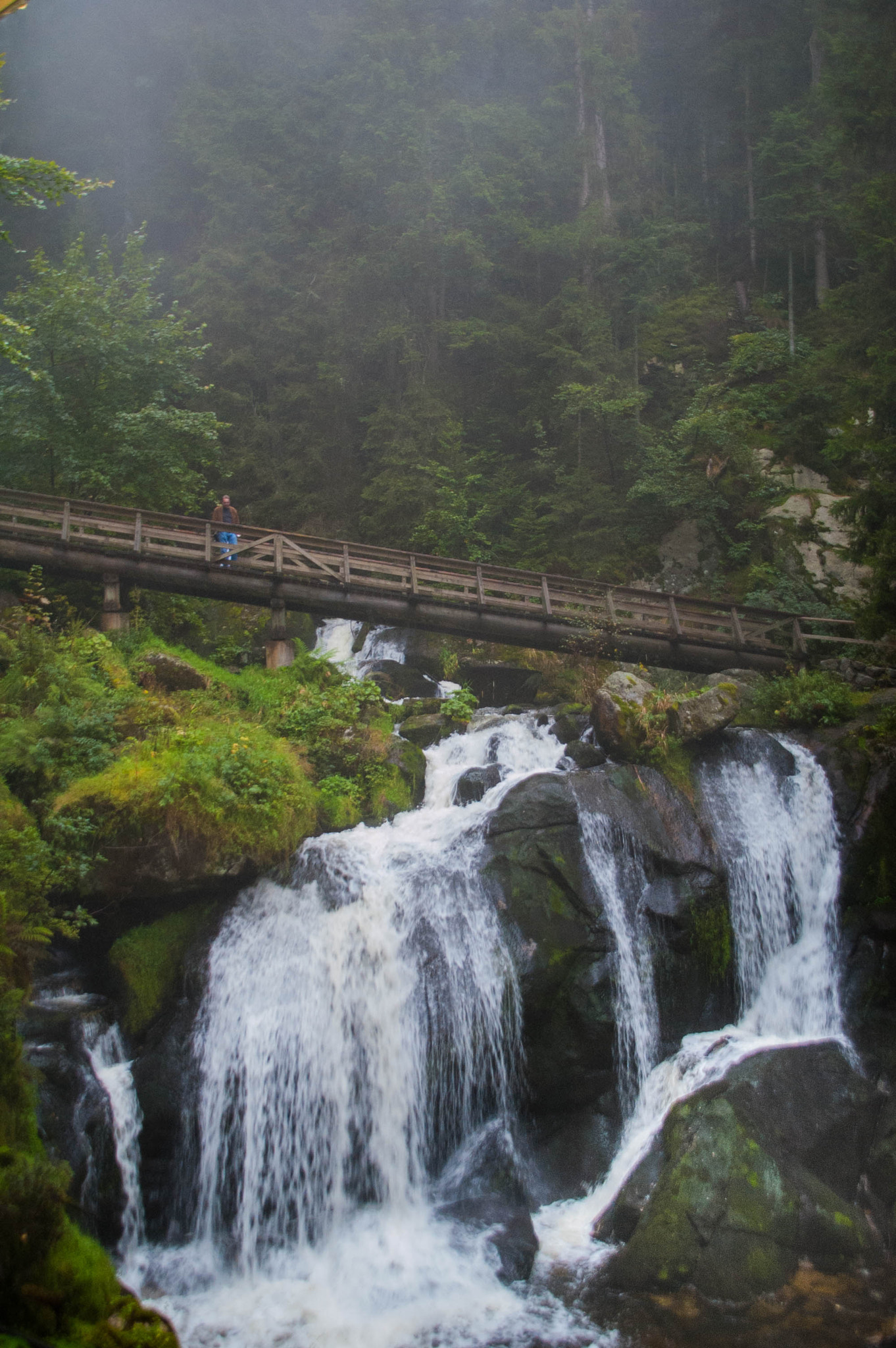 Nikon D50 sample photo. Black forest/triberg waterfall/germany photography